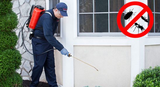 Başmakçı Tahtakurusu İlaçlama böcek ilaçlama ve haşere kontrolü — ilaclama-tr.com